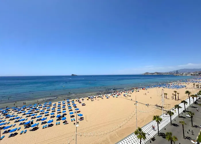 Carolina Firstline *