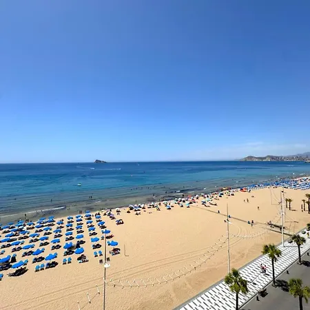 Carolina Firstline *